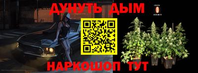 мяу мяу мука Будённовск