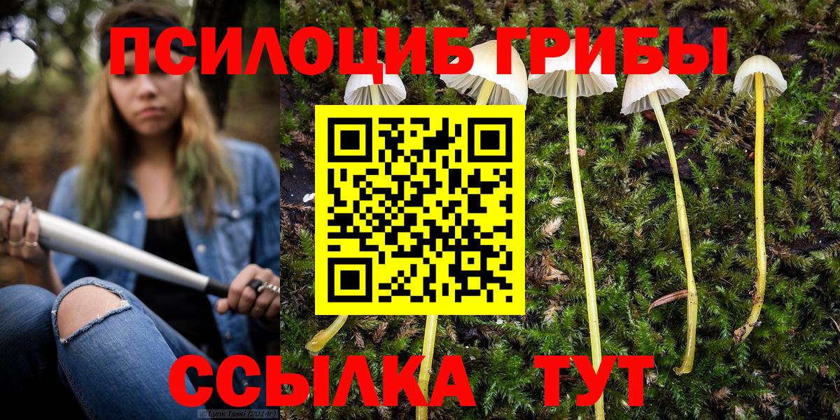 Галлюциногенные грибы мухоморы Кумертау