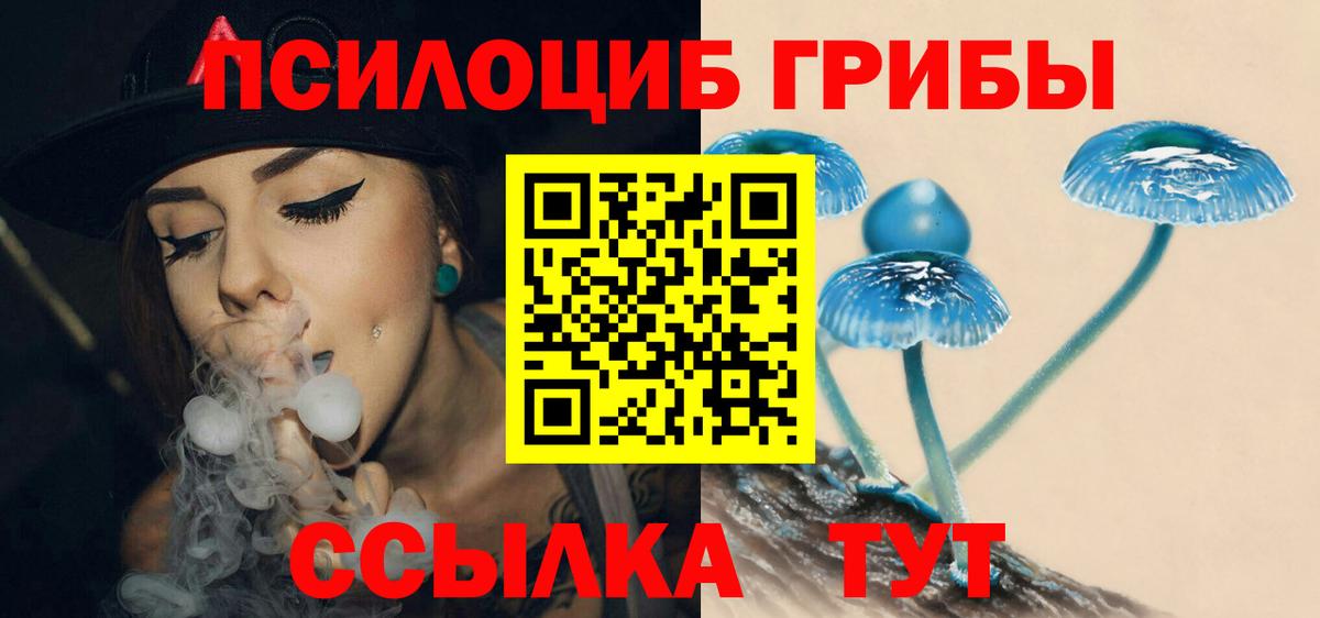 Псилоцибиновые грибы прущие грибы  Вход с VPN  Кумертау 